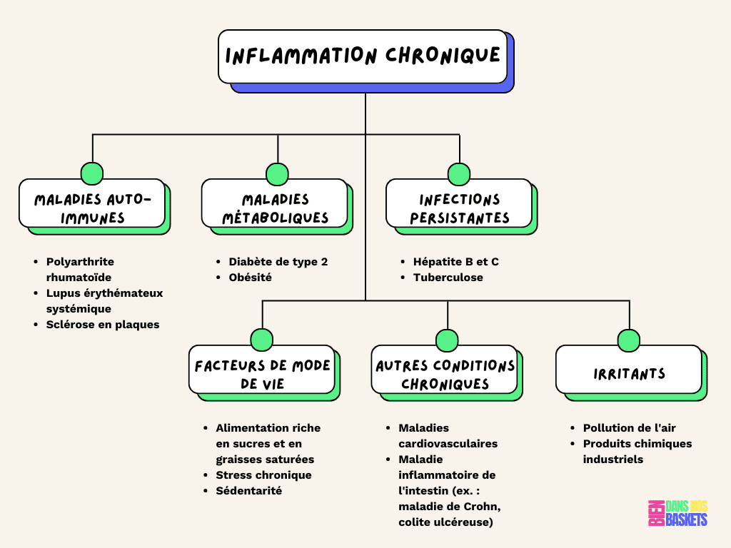 Schéma des inflammations chroniques